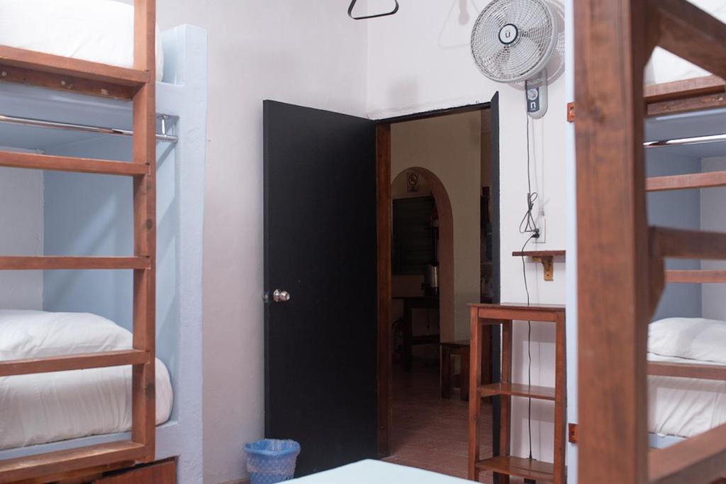Mapache Hostel & Camping Isla Holbox Exterior foto