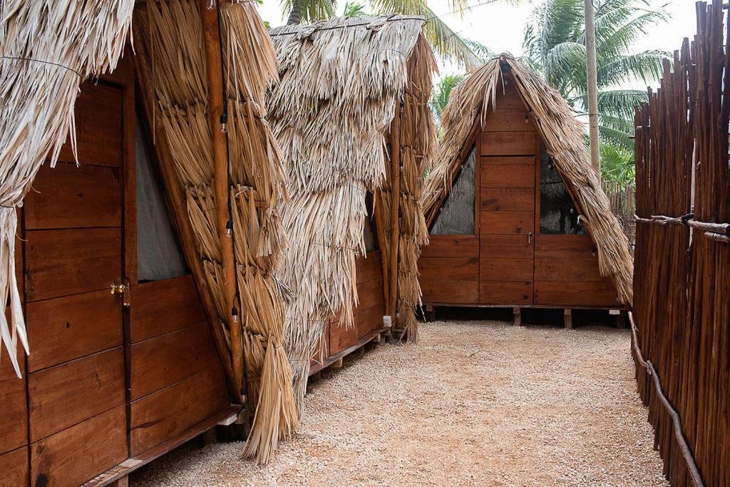 Mapache Hostel & Camping Isla Holbox Exterior foto